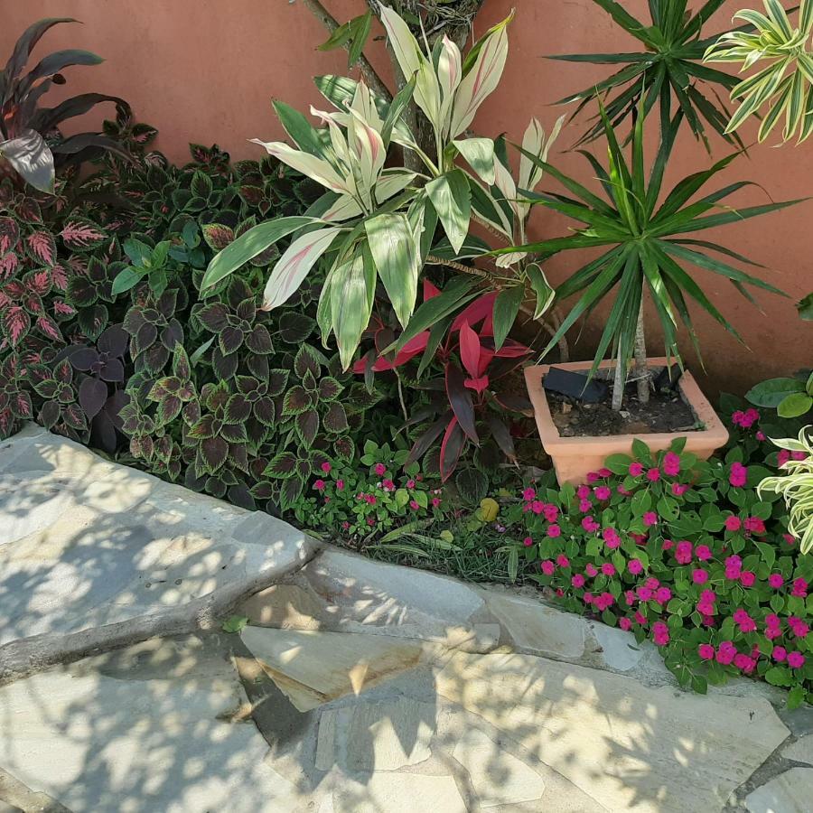 Ecco House Buzios Villa Bagian luar foto